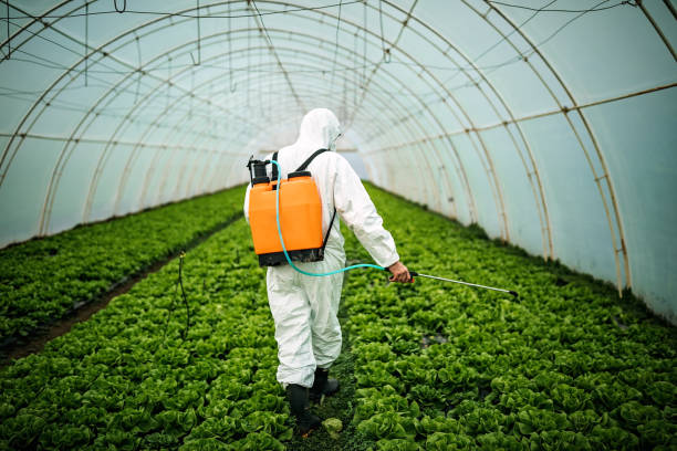 Best Best Pest Control Companies  in Riverdale Park, CA
