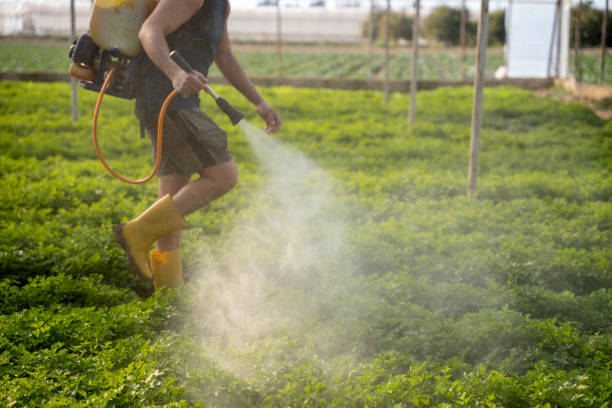 Insect Control in Riverdale Park, CA