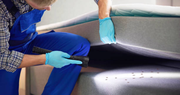 Best Pest Prevention Services  in Riverdale Park, CA
