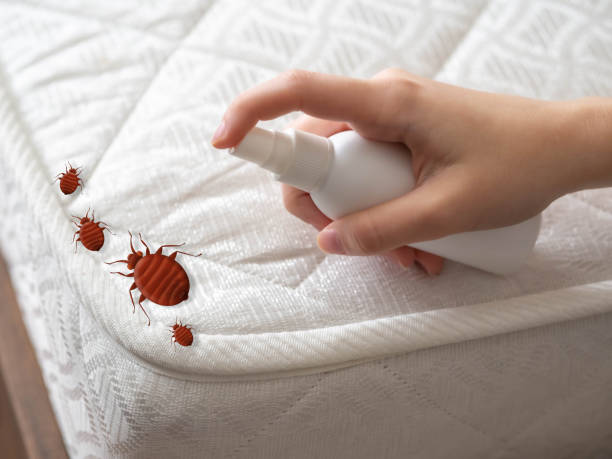Best Local Pest Control Services  in Riverdale Park, CA